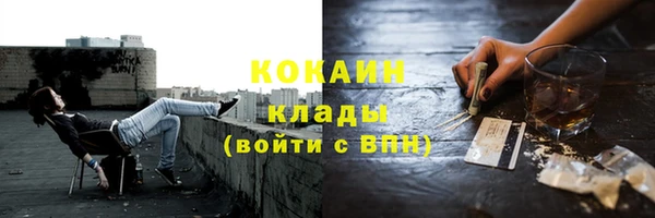 твердый Магас