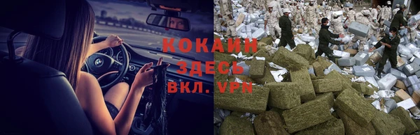 твердый Магас