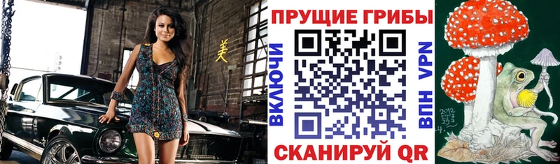 Псилоцибиновые грибы Cubensis Бахчисарай