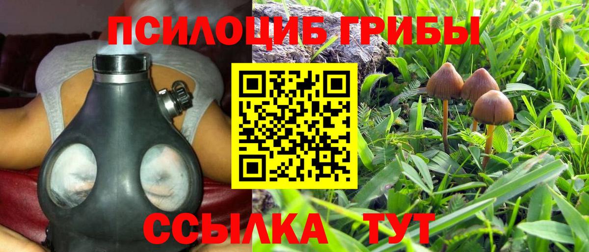 Галлюциногенные грибы Psilocybe Бахчисарай