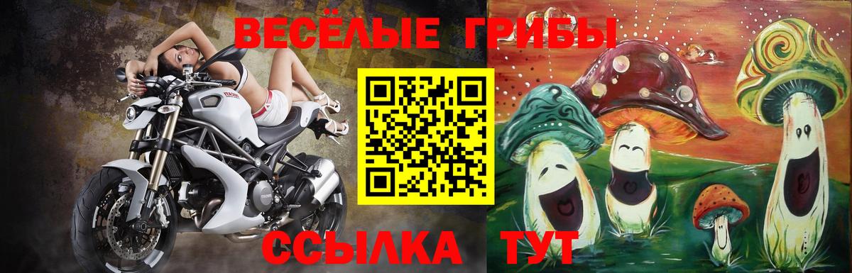 Галлюциногенные грибы Psilocybe  Бахчисарай 