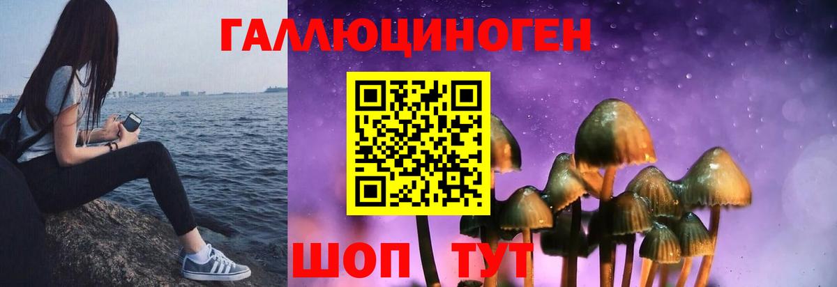 Бахчисарай  Галлюциногенные грибы прущие грибы  наркота  Галлюциногенные грибы мухоморы  Вход с VPN 